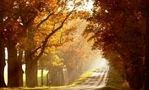 عكس/زيباترين جادهها