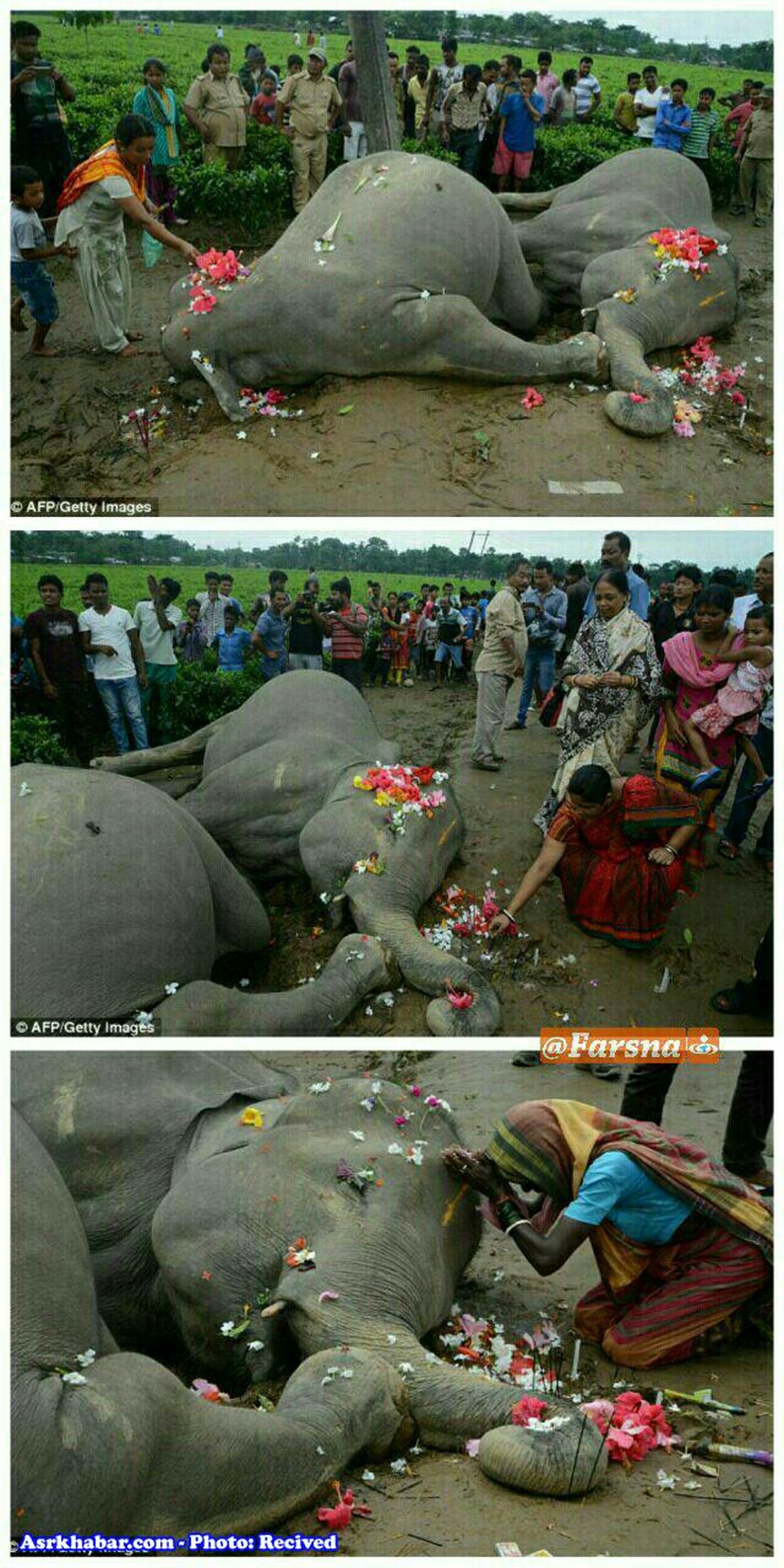 عکس: مرگ غمانگیز مادر و بچهاش