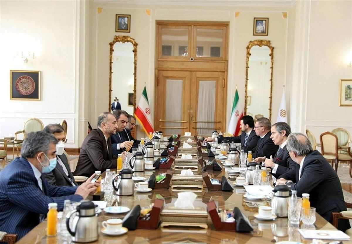 دیدار امیرعبداللهیان و مدیر کل آژانس