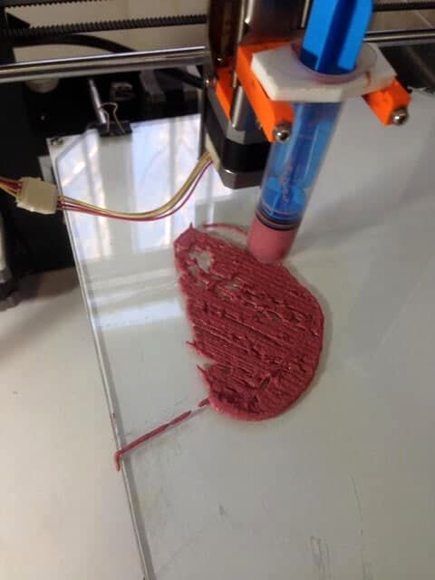 انتشار اولین تصویر از تولید گوشت گیاهی ساخته شده در دانشگاه تهران