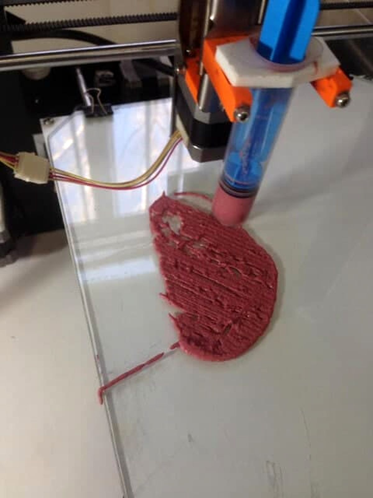 انتشار اولین تصویر از تولید گوشت گیاهی ساخته شده در دانشگاه تهران