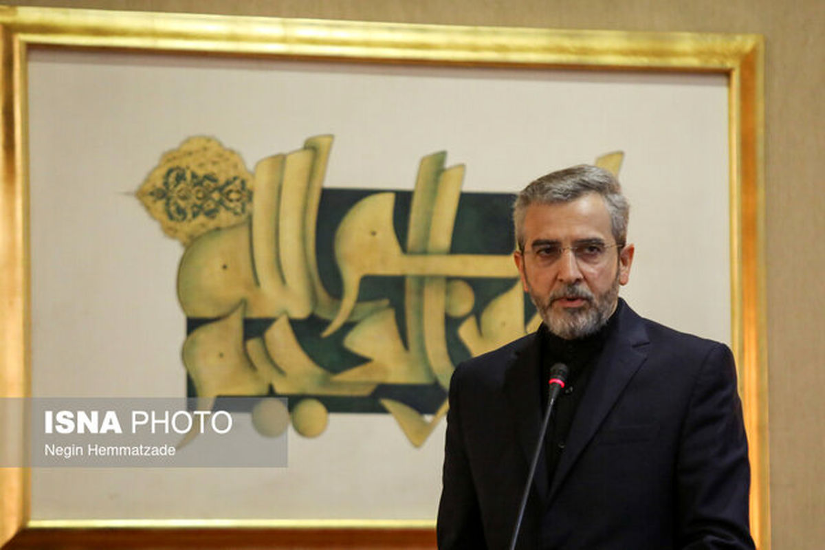 باقری: ایران حق غنی‌سازی دارد/ ما یک قدرت مسوولیت‌پذیر هستیم