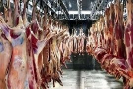 پیش بینی افزایش شدید قیمت گوشت