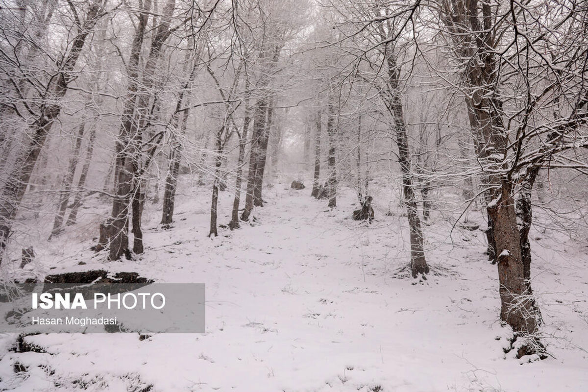 ورزقان زیر برف رفت