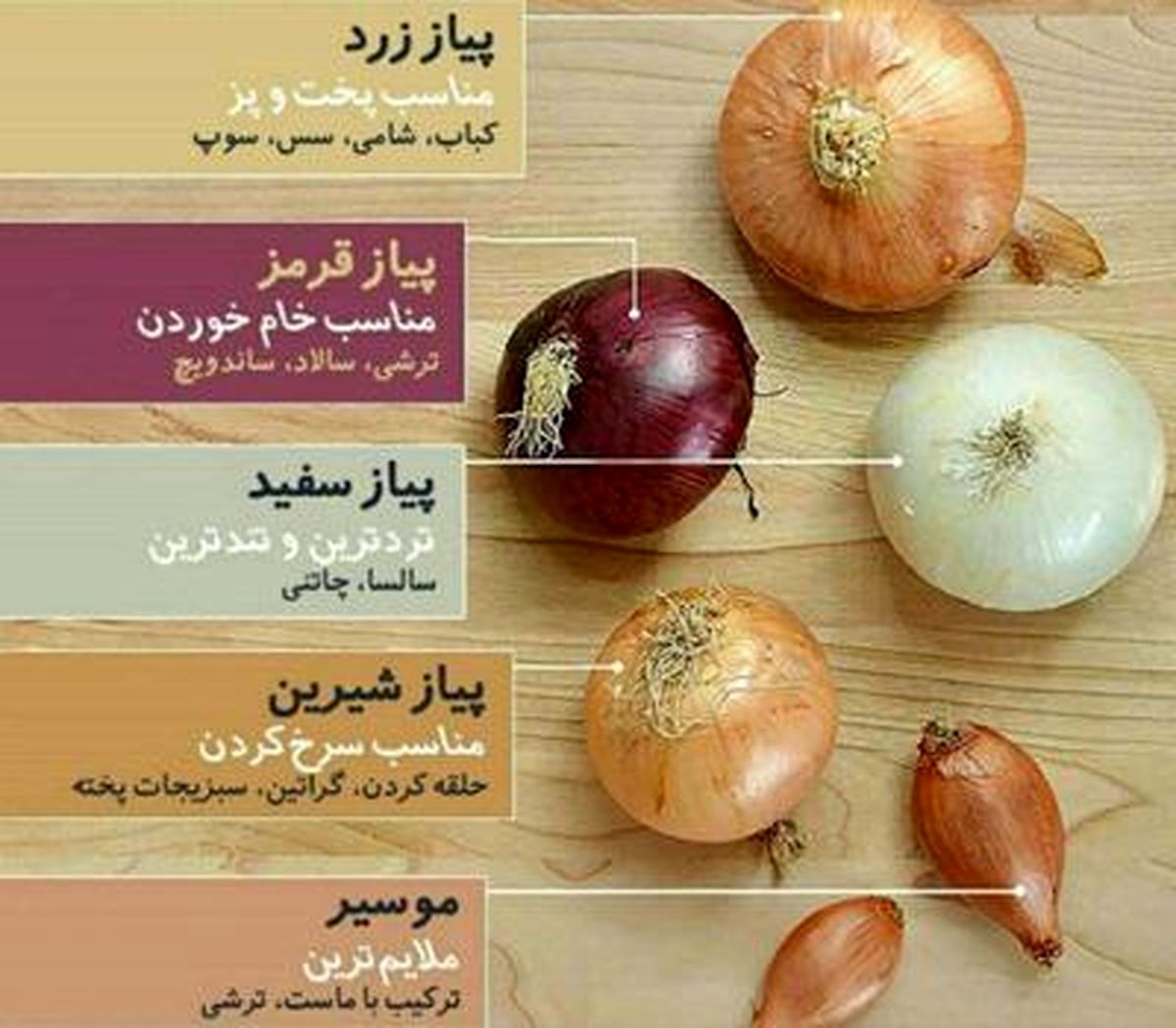 استفاده صحیح از پیازها