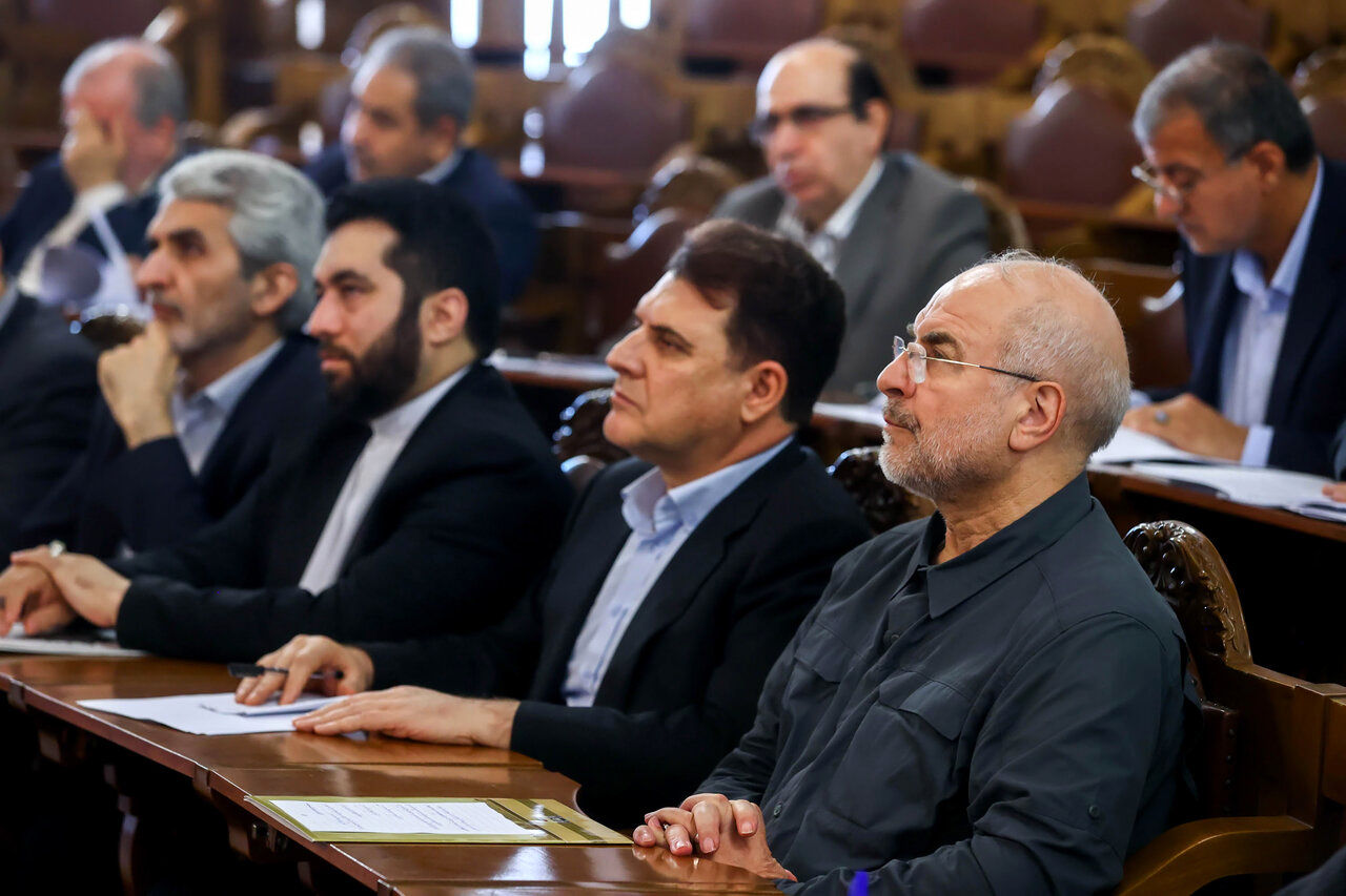 رئیس مجلس در همایش ناظران شورا‌ها