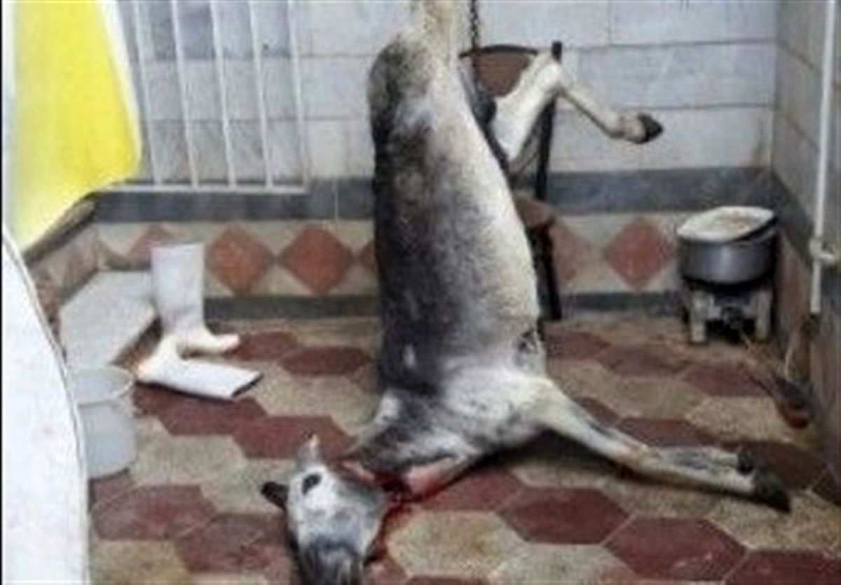 گوشت الاغ در برخی کبابی‌های شهریار