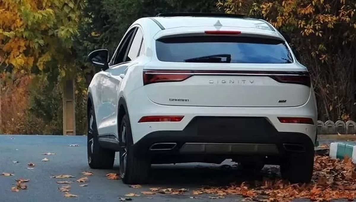 فیدلیتی و دیگنیتی چند شد؟