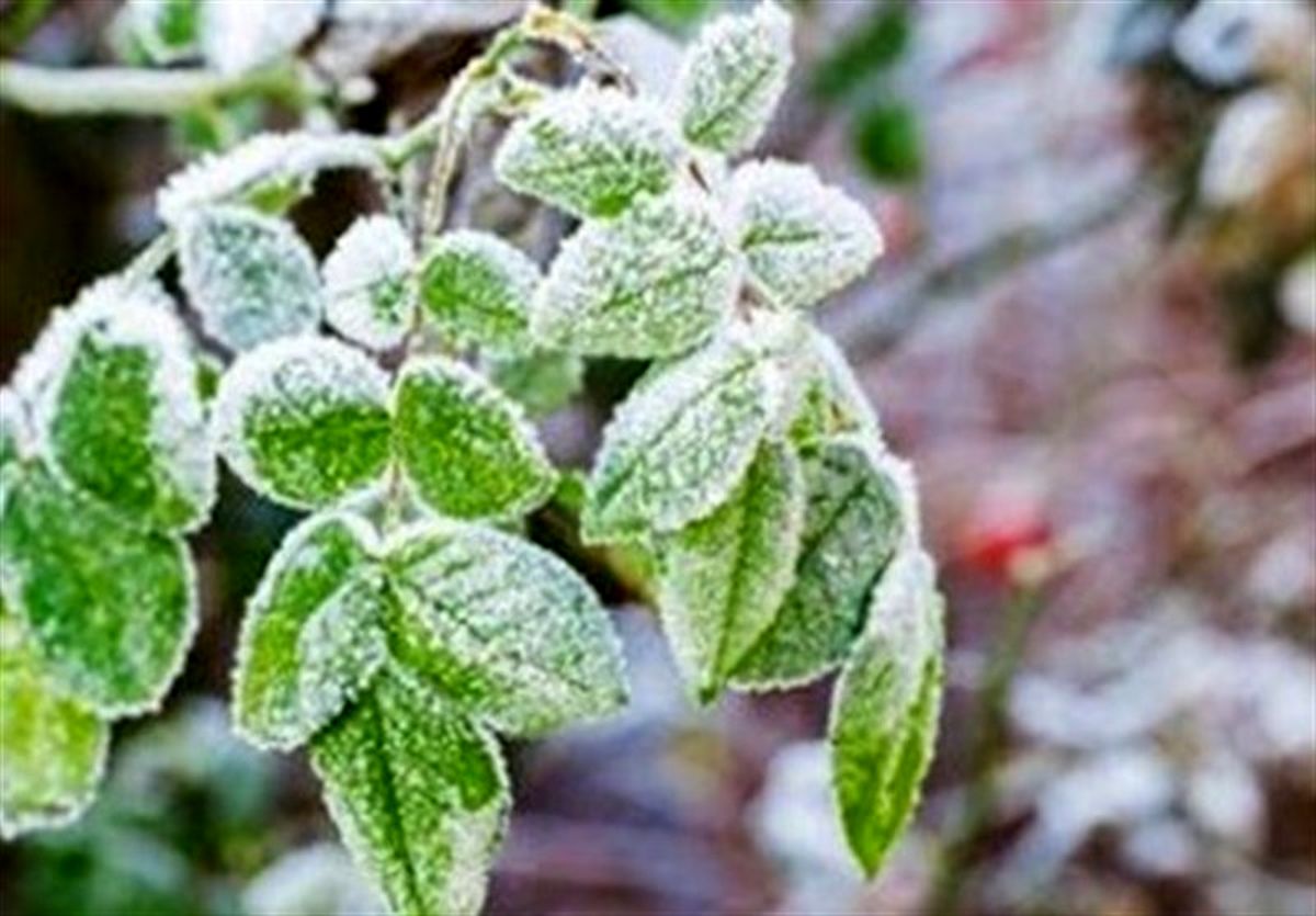 گزارش جدید هواشناسی در 30 شهریور 1404| منتظر بارش برف باشید