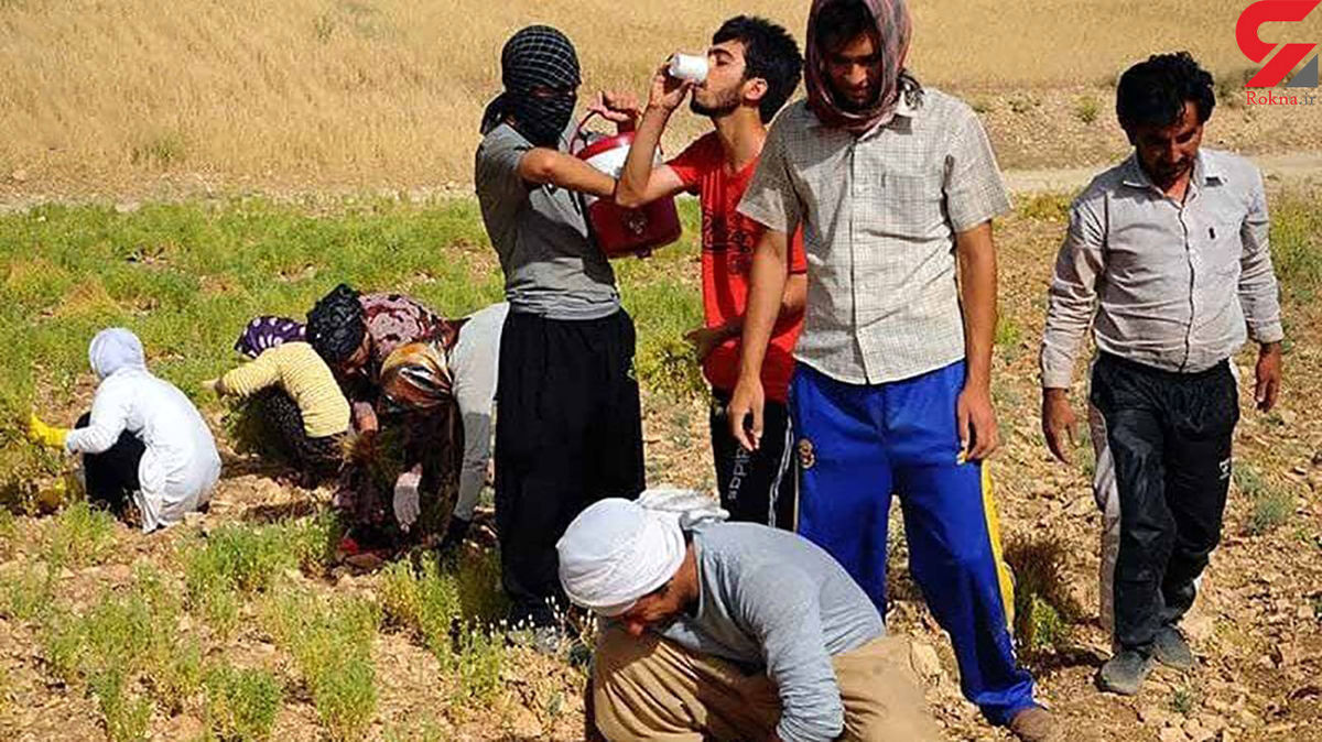 نوجوان بوکانی بر اثر نوشیدن آب یخ درگذشت!
