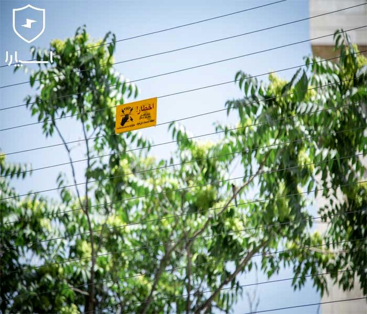 آیا قیمت فنس الکتریکی مقرون به صرفه است؟