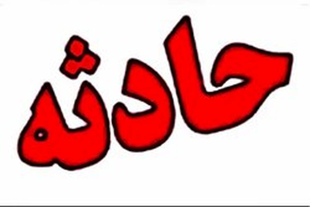 فیل لیز خورد و روی نگهبانش افتاد و له اش کرد! +عکس