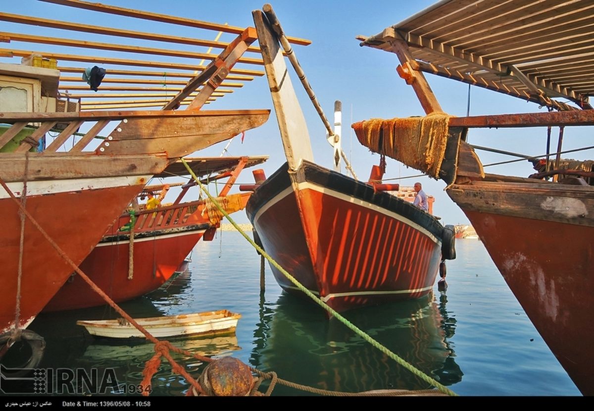 گزارش تصویری: آغاز فصل صید میگو در بوشهر