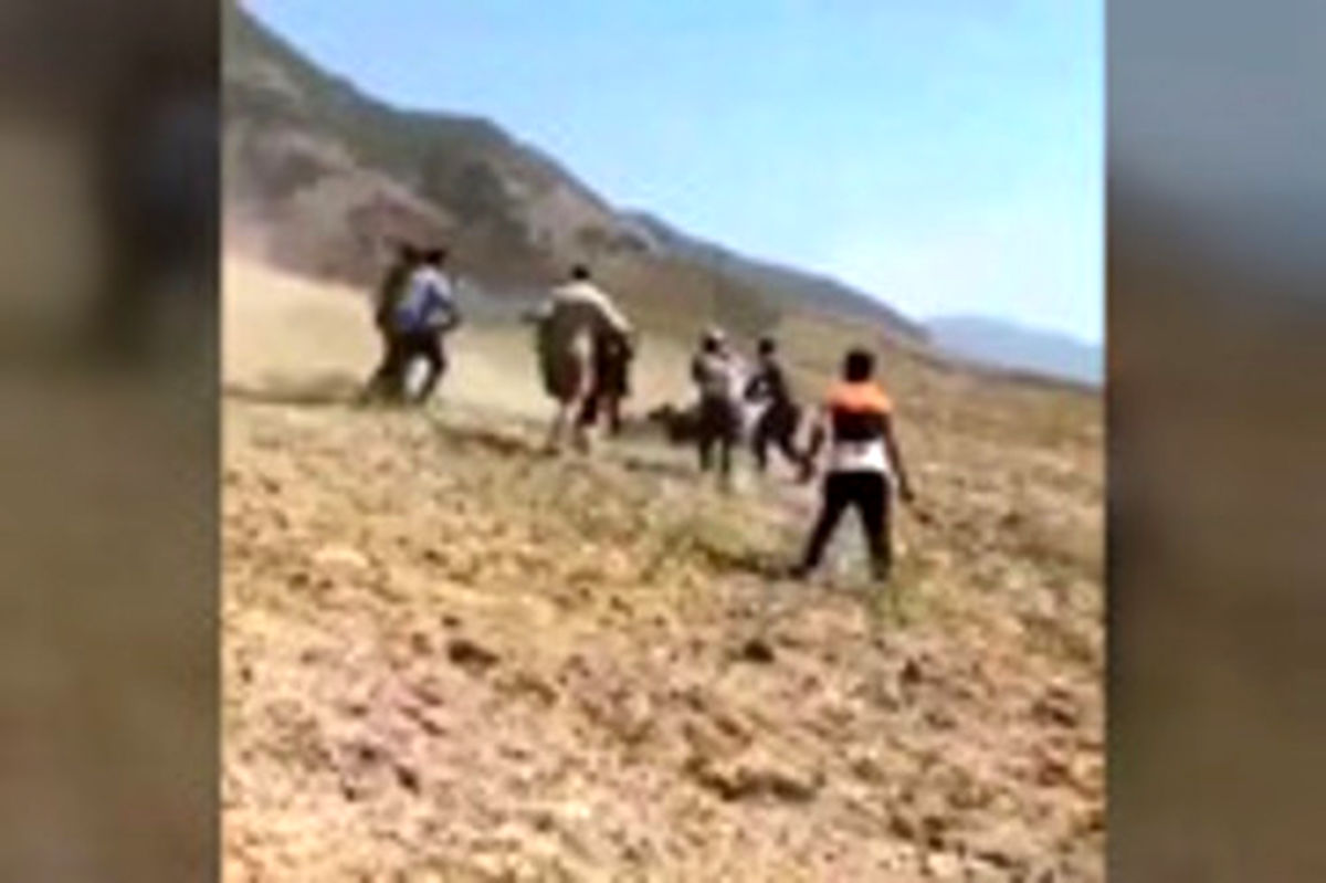 فیلمی از حمله خرس وحشی به اهالی روستایی در گلستان