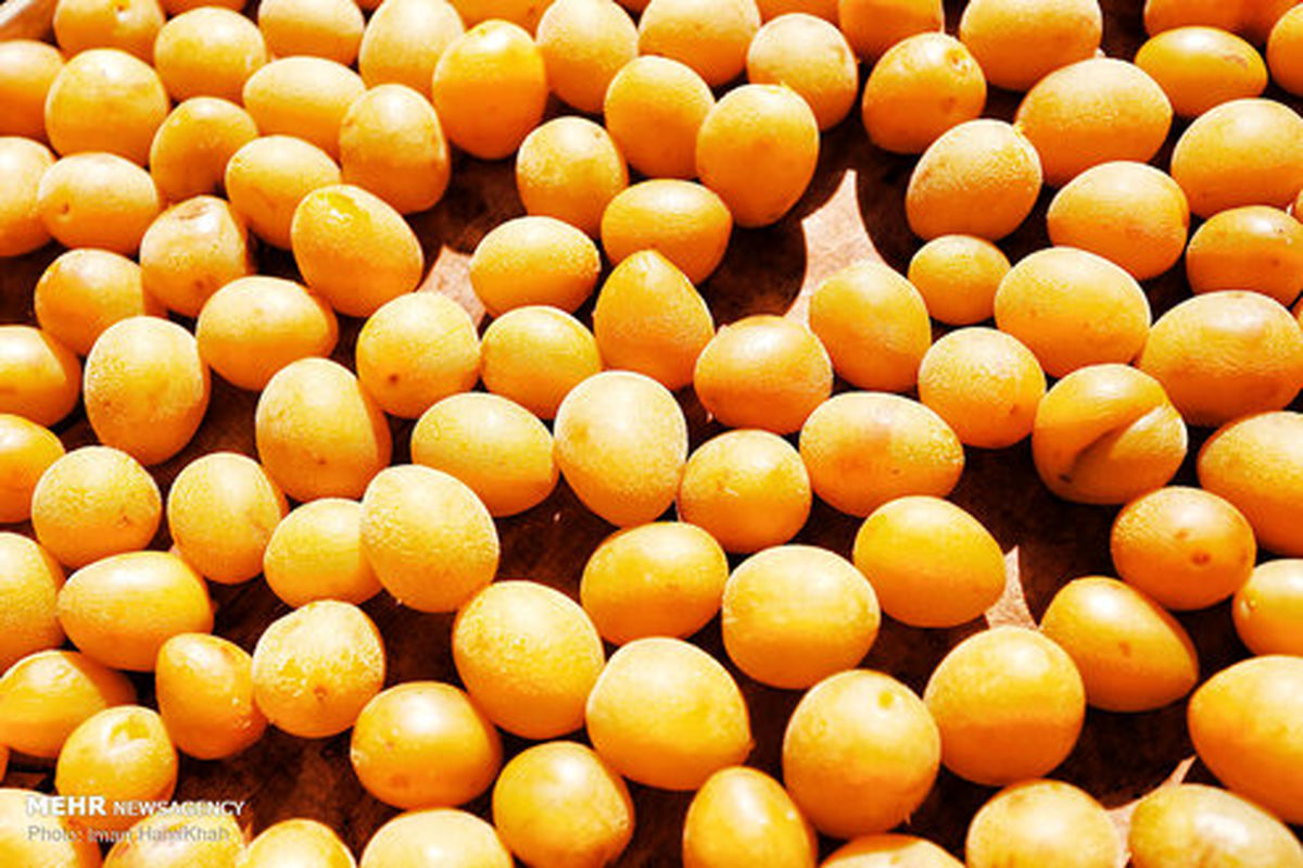 تصاویر: روستای توریستی ملحمدره