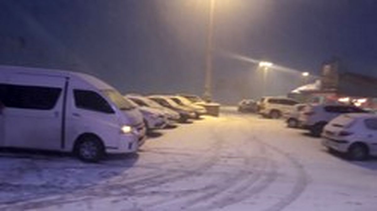 بارش برف سنگین در جاده چالوس +عکس