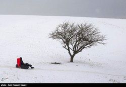آغاز دور جدید بارش برف و باران از امروز