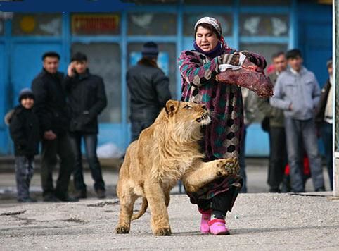 تصویر: زن شیر دل تاجیک