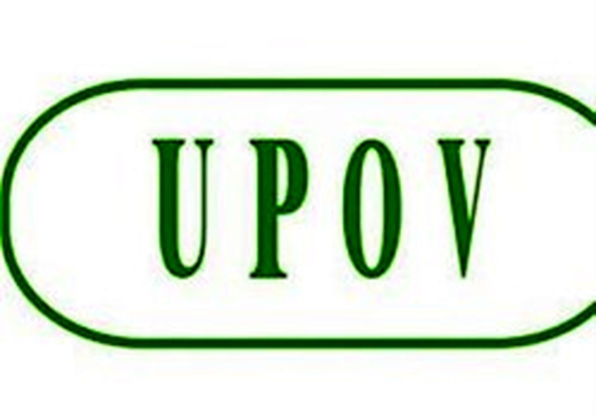 خطرات پیوستن ایران به کنوانسیون UPOV