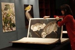 گران‌ترین کتاب جهان +عکس