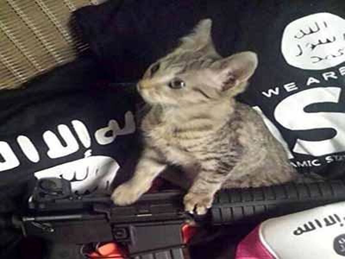 اوج مهربانی داعشی ها !/عکس