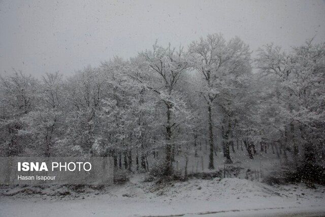 هواشناسی یکشنبه ۲۱ دی | برف و باران و باد در ۲۸ استان 