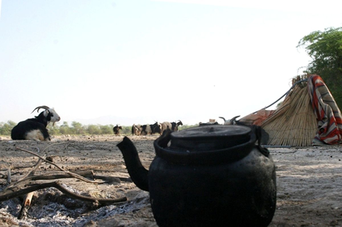 این چایی خوردن داره/عکس