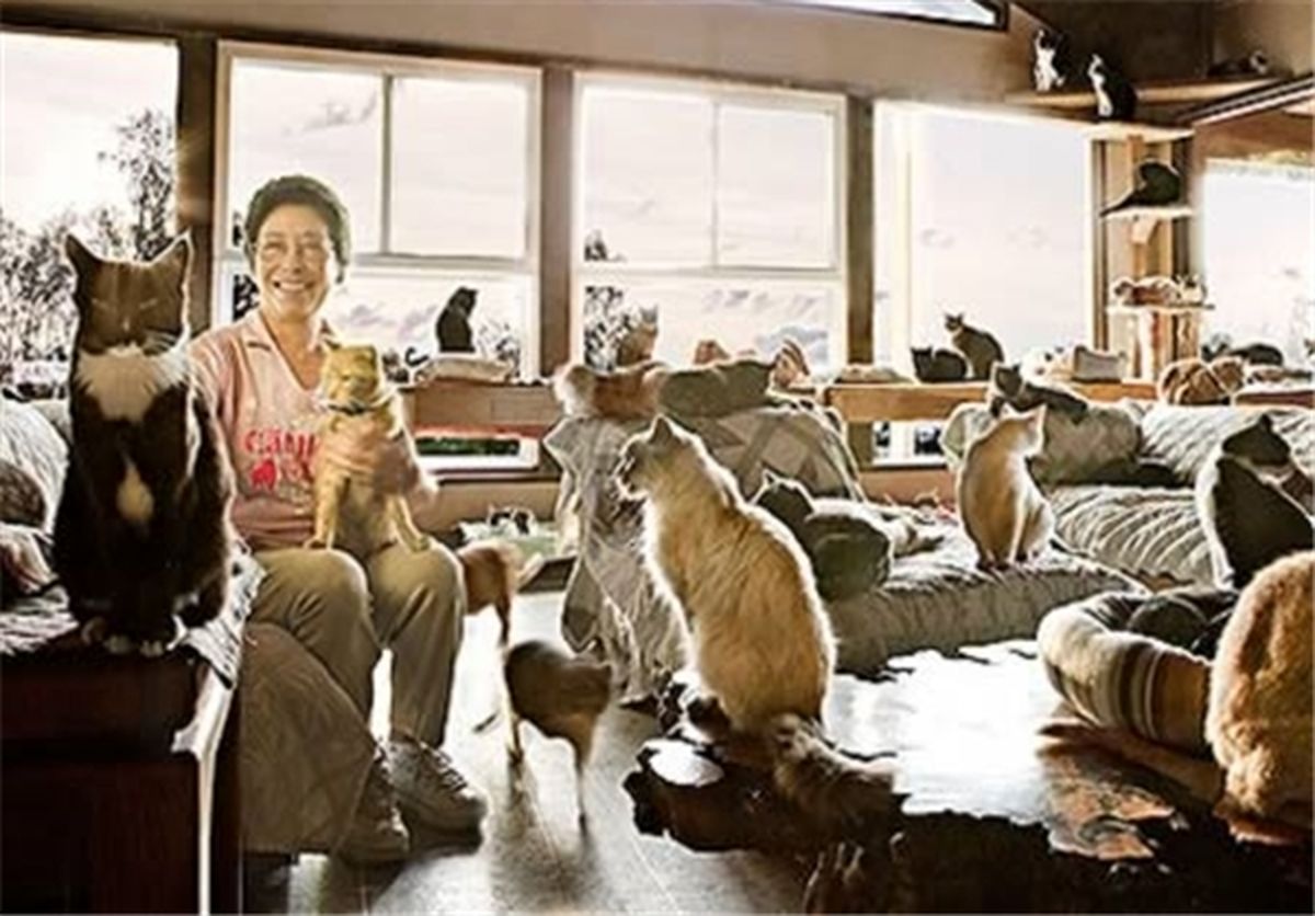 زندگی یک زن با 130 گربه