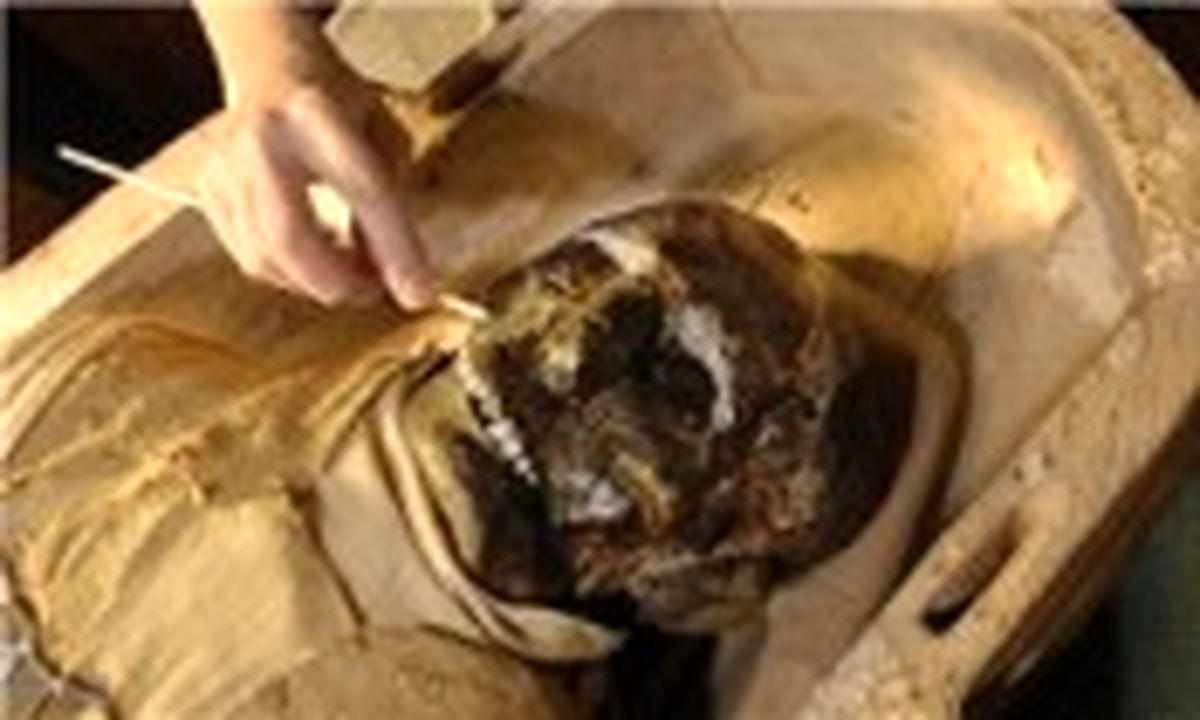 با ۳ میلیون تومان مومیایی شوید!