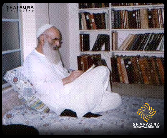 تصویری متفاوت از آیت الله سیستانی