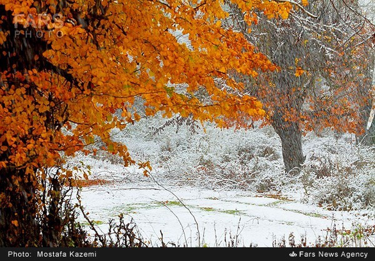 اینجا ایران است/تصاویر
