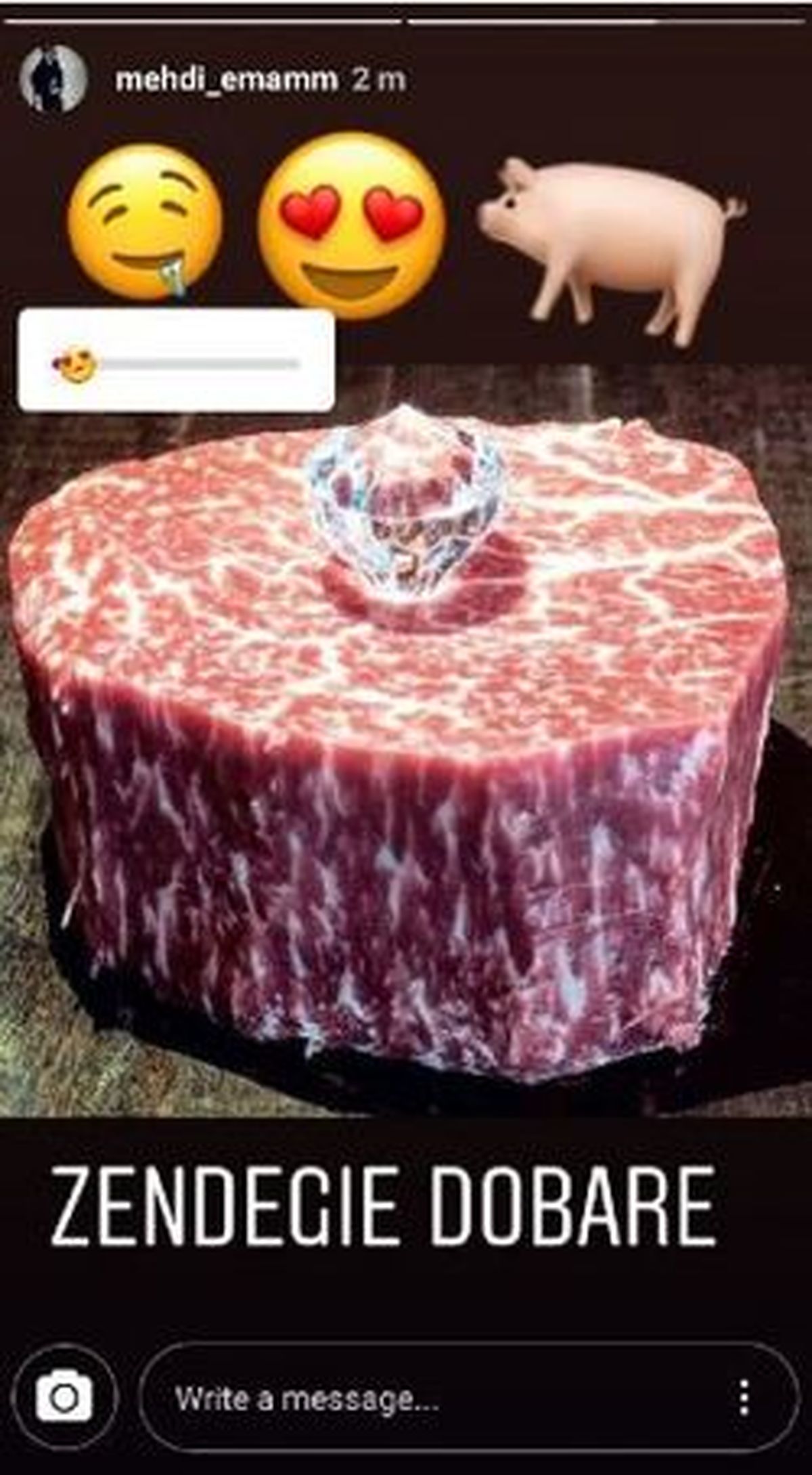 خوک‌خوری پسر مدیرعامل بنیاد خاتمی؟! +عکس