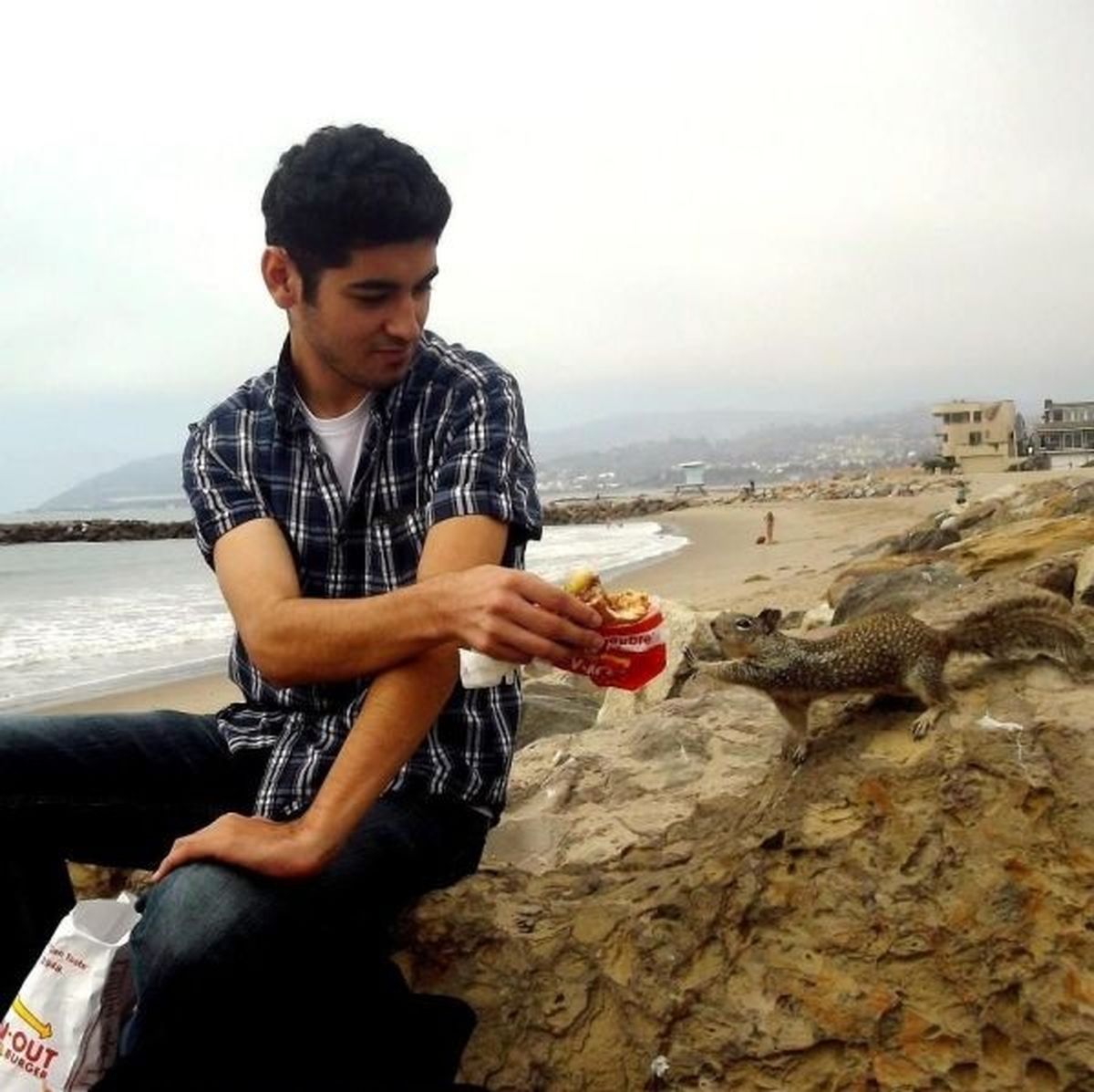 عکس/ تعارف بی‌جا!