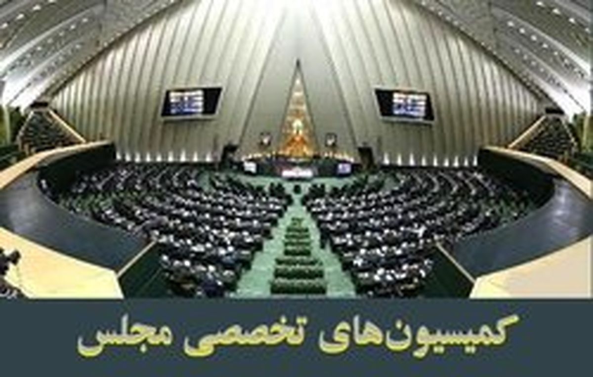 حضور ۶ وزیر در جلسات کمیسیونهای تخصصی مجلس