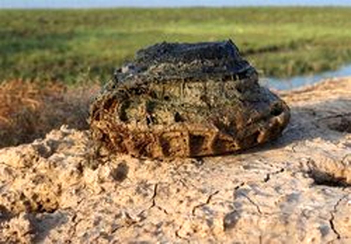 توضیحات سردار باقرزاده درباره انفجار مین حین عملیات کاوش پیکرهای شهدا