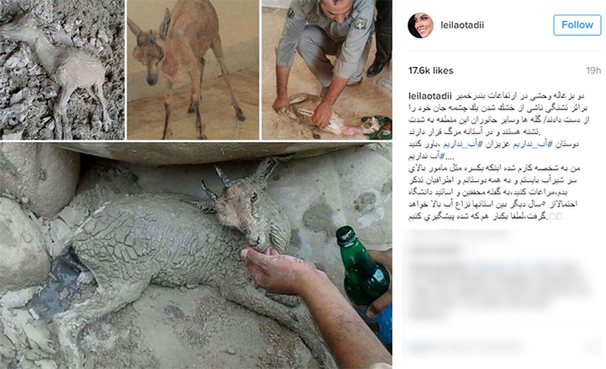 عکسی تکان دهنده در اینستاگرام لیلا اوتادی +عکس