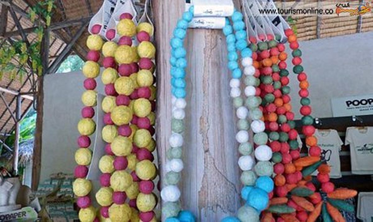 یک سوغاتی عجیب در تایلند +تصاویر