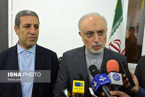 صالحی: خارج از چارچوب برجام عمل نمیکنیم