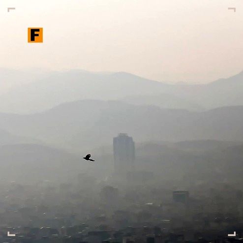 محیط زیست: آلودگی تهران تقصیر خودرو دیزلی است نه مازوت