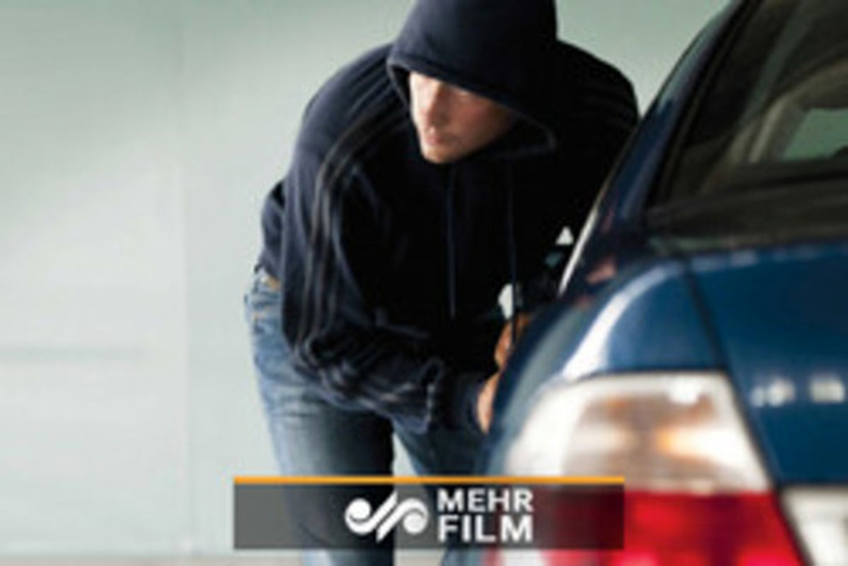 سرقت از پژو ۲۰۶ فقط در چند ثانیه +فیلم