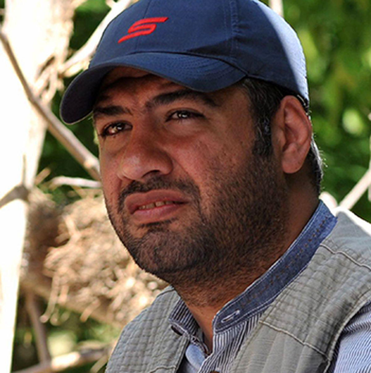 چرایی حضور «الناز شاکردوست» در یک انیمیشن +تصاویر