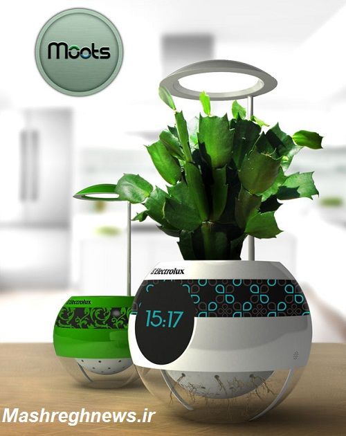 گلدان‌های مجهز به اینترنت /عکس