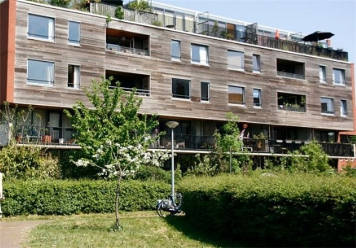 منطقه‌ای بدون ترافیک و خودرو/تصاویر