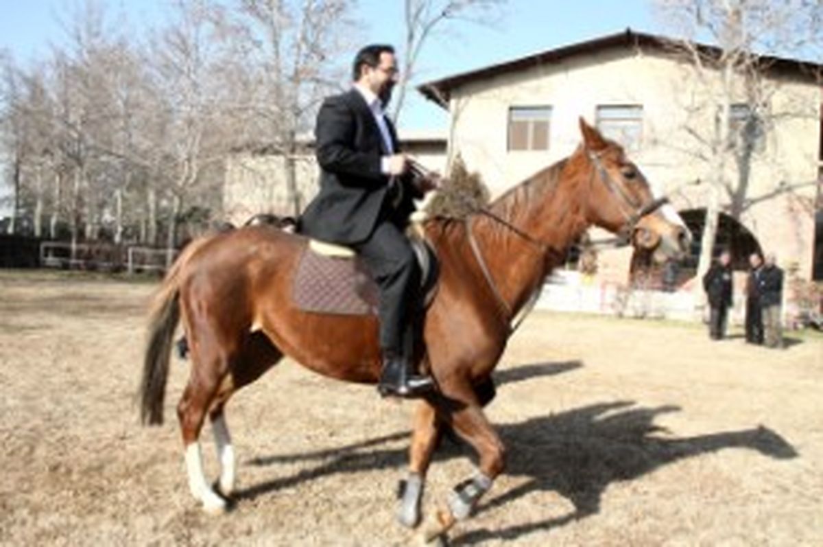 عکس/ سوارکاری وزیر ورزش