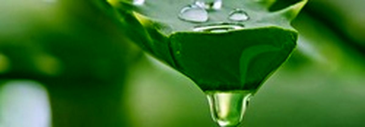 ۱۰ راه خلاصی از رگ‌های عنکبوتی پوست