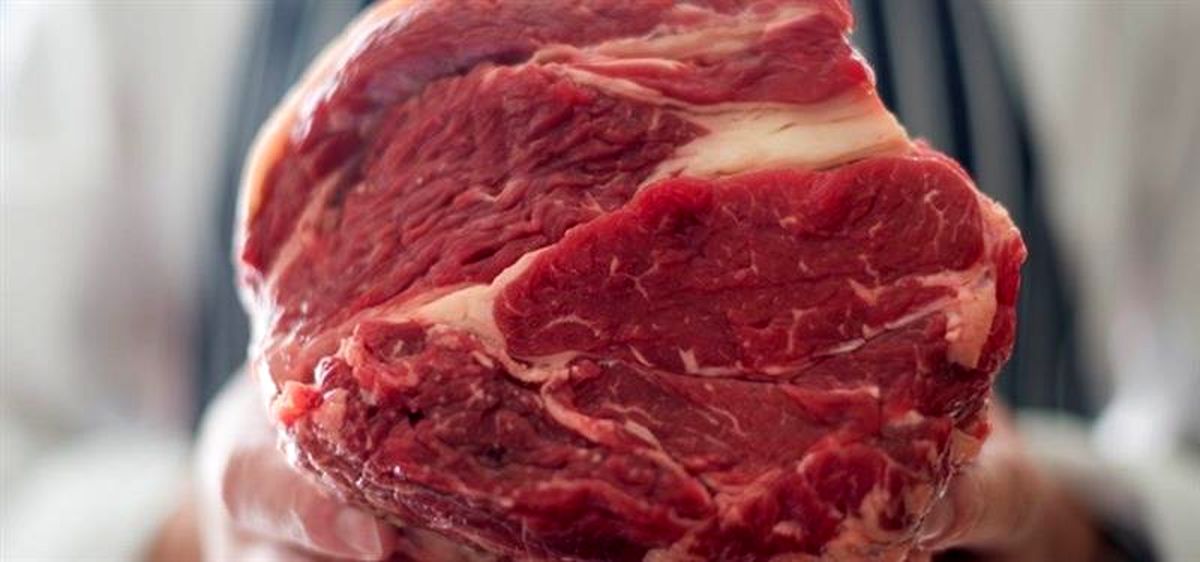 چگونه در سفر از تب کنگو در امان بمانیم؟