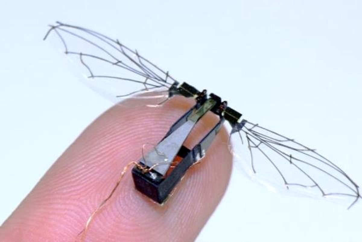 نجات قربانیان حوادث با ربات های زنبوری +عکس