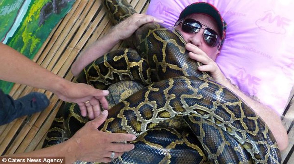 ماساژ با مار بوآ !/ تصاویر