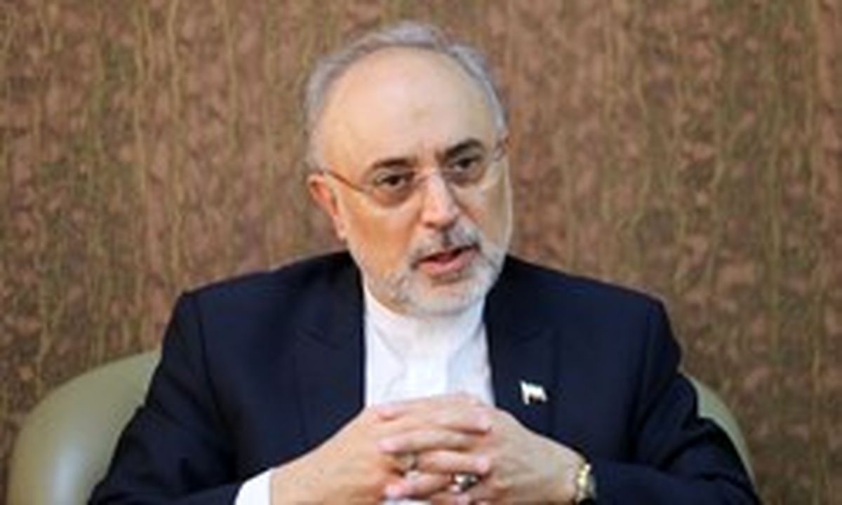 صالحی: اساس مذاکره با اروپاییها بر بیاعتمادی خواهد بود