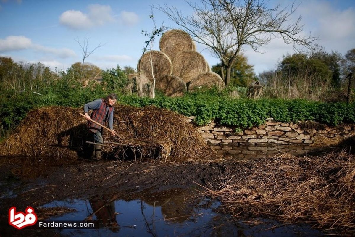 تصاویر: زندگی باورنکردنی کشاورز فرانسوی